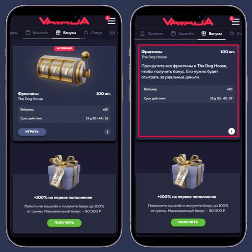 Пример карточки бонуса